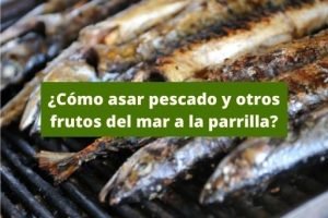What is the best grill for cooking fish?