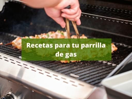 Photo of a gas grill-roasting a skewer with text on writing: Recipes for your gas grill.